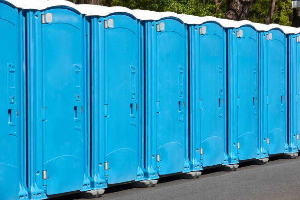 Best Eco-Friendly Portable Toilets in USA